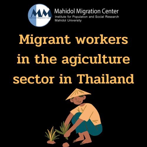 Policy Brief |  Migrant Workers in the Agricultural Sector in Thailand
